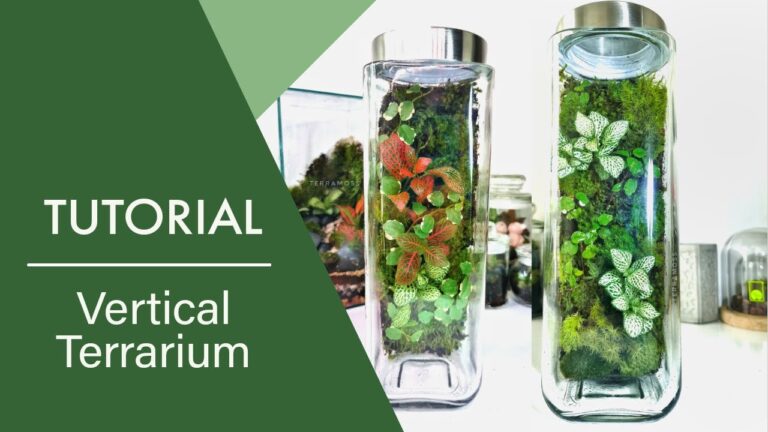 Vertical Terrarium Plants A Guide To Space Saving Greenery Actualizado June 2024 3277