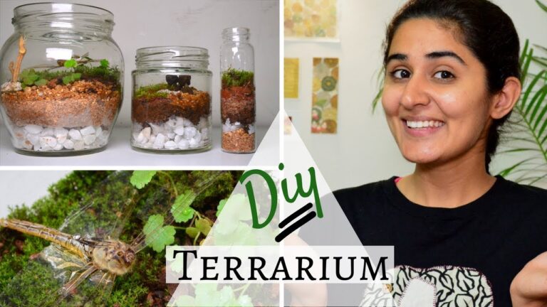 Diy Garden Terrarium Kits A Complete Guide Actualizado July 2024 8520